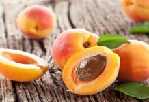 Βερίκοκκα για αναιμία, δυσκοιλιότητα, όραση, ομορφιά υγεία, τα κουκούτσια τους για καρκίνο Βερίκοκκα για αναιμία, δυσκοιλιότητα, όραση, ομορφιά υγεία