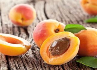 Βερίκοκκα για αναιμία, δυσκοιλιότητα, όραση, ομορφιά υγεία, τα κουκούτσια τους για καρκίνο Βερίκοκκα για αναιμία, δυσκοιλιότητα, όραση, ομορφιά υγεία